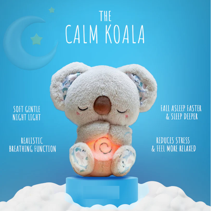 THE CALM KOALA